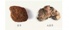 茯苓和土茯苓有什么区别图片,茯苓祛湿/土