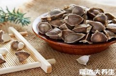 辣木籽有什么功效,这五大功效对人体非常