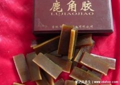 鹿角胶的功效与作用禁忌，补肾壮阳是/补血