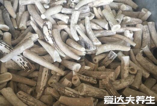 鹿角霜的功效与作用,肾虚/白带过多/脾胃虚寒/抗衰老都有治疗效果