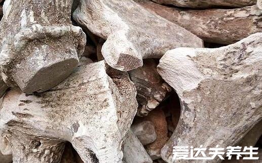 鹿角霜的功效与作用,肾虚/白带过多/脾胃虚寒/抗衰老都有治疗效果