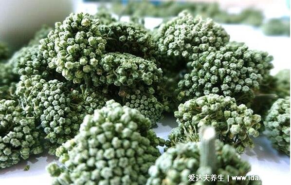 三七花的作用和功效,安神促睡眠/延缓衰老/提高免疫力