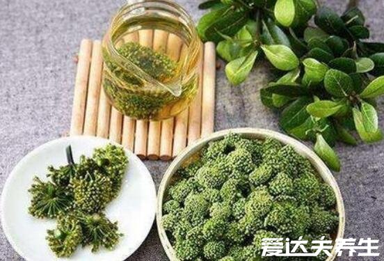 三七花的作用和功效,活血化瘀/降血脂/血压(每日一杯长命百岁)