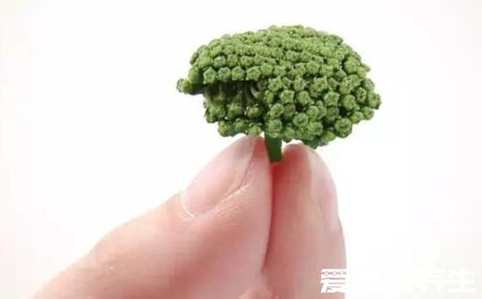 三七花的作用和功效,活血化瘀/降血脂/血压(每日一杯长命百岁)
