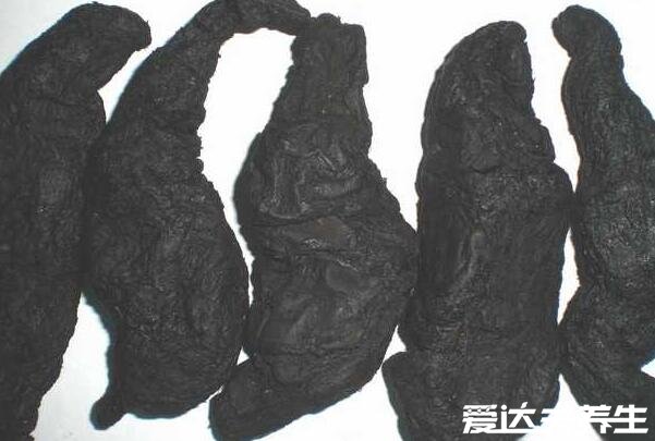 熟地的功效与作用,延缓衰老/滋阴补肾/强心利尿/补血/降血压