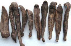 脑梗最怕一味中药，水蛭/丹参/葛根(附治疗