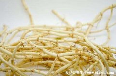 女人吃鱼腥草的好处，可调理月经/抗氧化