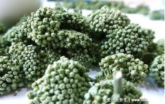 三七花的作用和功效，安神促睡眠/延缓衰老