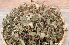 一味中药可化72种结石，详解金钱草/化石