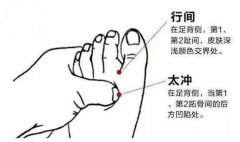 太冲穴的准确位置图片及作用，经常按治腰