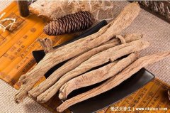 2021懒人种植十大紧缺药材,稳赚不赔市场需