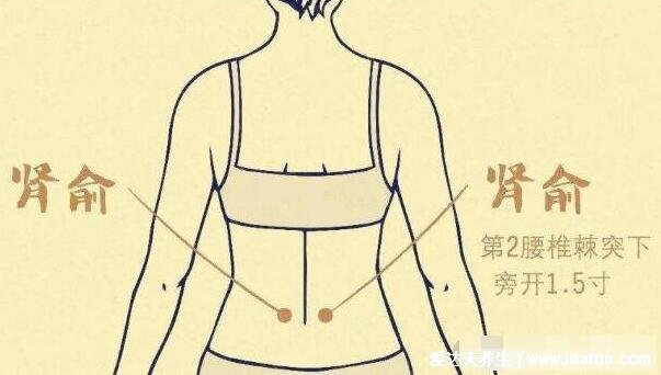 拔罐可以改善男人早射,刺激5大穴位提高男性性功能