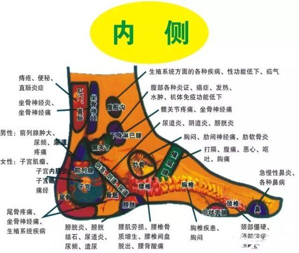 超详细脚上的穴位图,足部脚部穴位图解让你更好的调理身体