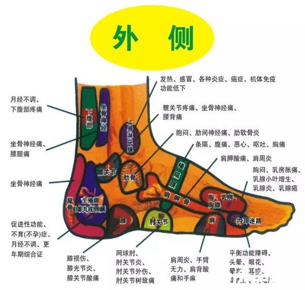 超详细脚上的穴位图,足部脚部穴位图解让你更好的调理身体
