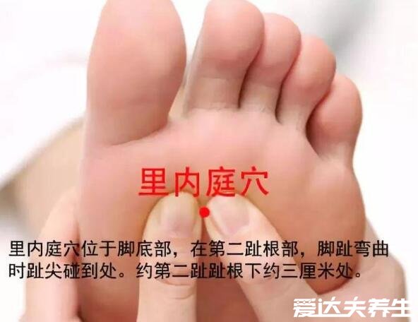 超详细足底脚底穴位图解,按摩脚底对身体全部器官都有疗效