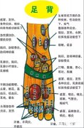 超详细脚上的穴位图,足部脚部穴位图解让