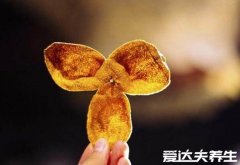 陈皮的功效与作用禁忌，能够保护心血管降