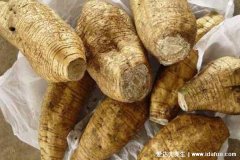 葛根的功效与作用，5大功效3大吃法和3大禁