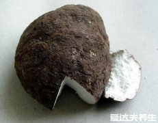 茯苓和土茯苓有什么区别,完全是两种不同