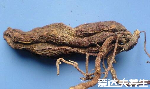 何首乌怎么吃,4种不伤肝的正确吃法