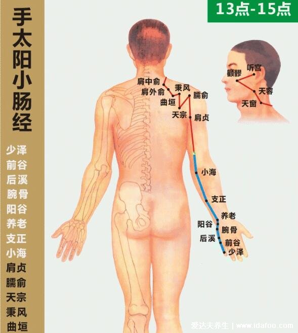 六条手背上经络图对应的器官,按摩5个手指可缓解全身疾病(图片)