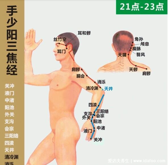 六条手背上经络图对应的器官,按摩5个手指可缓解全身疾病(图片)