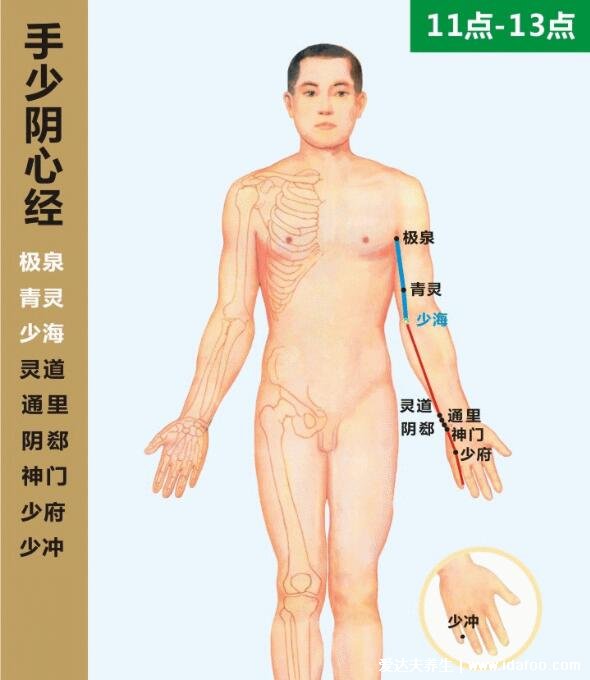 六条手背上经络图对应的器官,按摩5个手指可缓解全身疾病(图片)