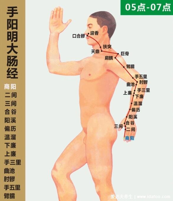 六条手背上经络图对应的器官,按摩5个手指可缓解全身疾病(图片)