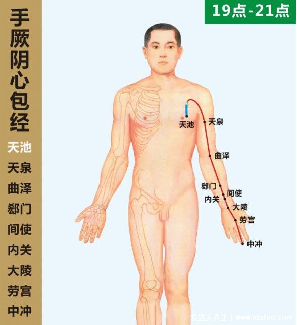 六条手背上经络图对应的器官,按摩5个手指可缓解全身疾病(图片)
