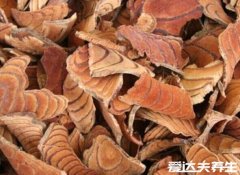 鸡血藤的功效与作用,对诸多妇科疾病都有