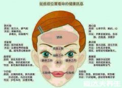 脸部长痘对应五脏的图，可不是内分泌失调