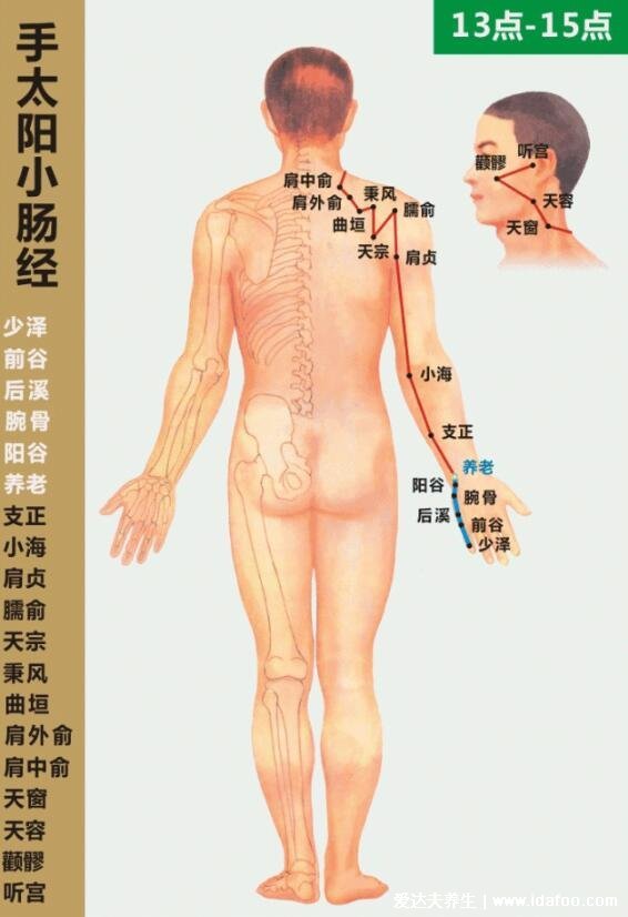 面部经络图走向图,任脉堵塞脸部会暗黄(附十二经络简单记忆法)