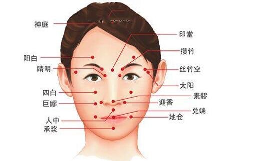 人体面部穴位图美容部位图,按摩承泣穴有助于去黑眼圈