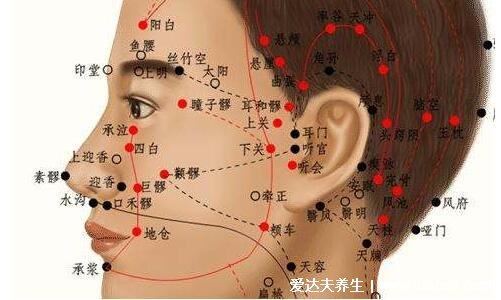 人体面部穴位图美容部位图,按摩承泣穴有助于去黑眼圈