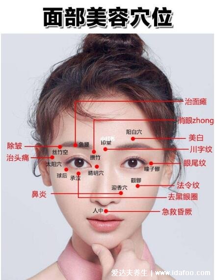 人体面部穴位图美容部位图,按摩承泣穴有助于去黑眼圈