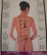 人体器官后背疼痛对应器官图,各个位置疼