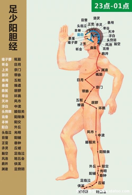 十二经络简单记忆法,超级简单的十二经脉歌诀顺口溜必背