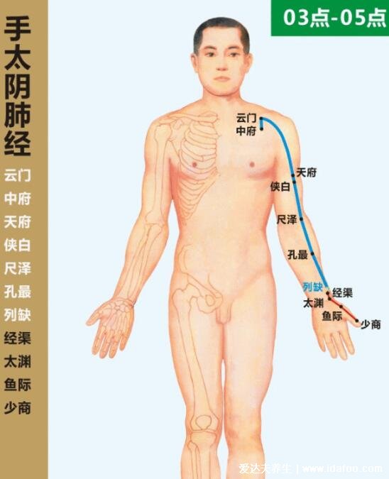 十二经络简单记忆法,超级简单的十二经脉歌诀顺口溜必背