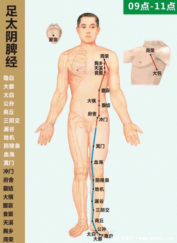 十二经络简单记忆法,超级简单的十二经脉歌诀顺口溜必背