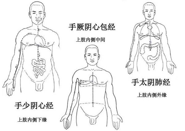 手臂经络图6条走向,分为手三阳和手三阴(手三阴胸起往手走)