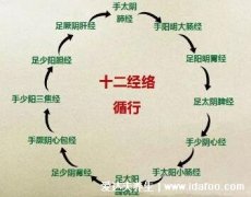十二经络最好记的方法3分钟,经脉必背顺口