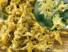 铁皮石斛花的功效与作用吃法，甘平可开水