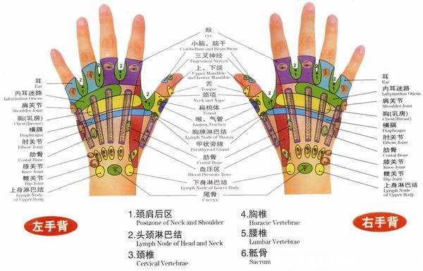 腿部经络图6条的走向及穴位图,四肢经络口诀更好记忆