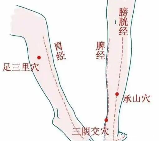 腿部经络图6条的走向及穴位图,四肢经络口诀更好记忆