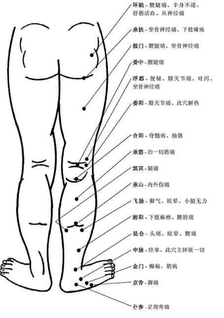 腿部经络图6条的走向及穴位图,四肢经络口诀更好记忆