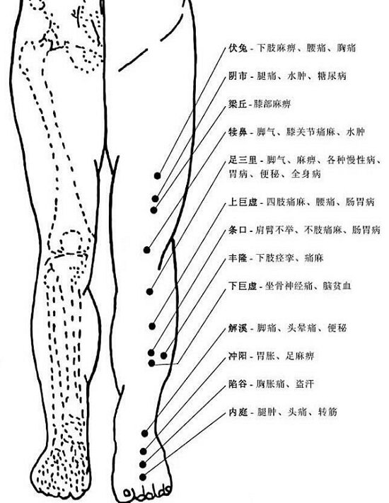 腿部经络图6条的走向及穴位图,四肢经络口诀更好记忆