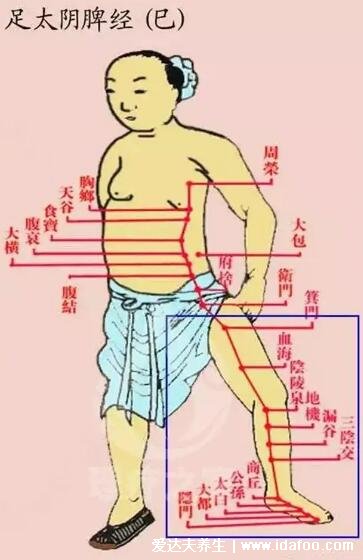 腿部经络图6条的走向及穴位图,四肢经络口诀更好记忆