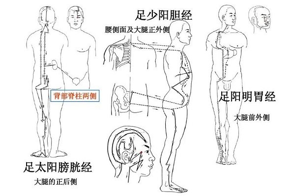 腿部经络图6条的走向及穴位图,四肢经络口诀更好记忆