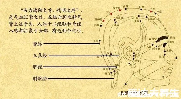 腿部经络图6条的走向及穴位图,四肢经络口诀更好记忆