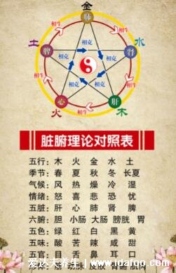 五脏互为表里对照表,中医五脏六腑的表里关系介绍